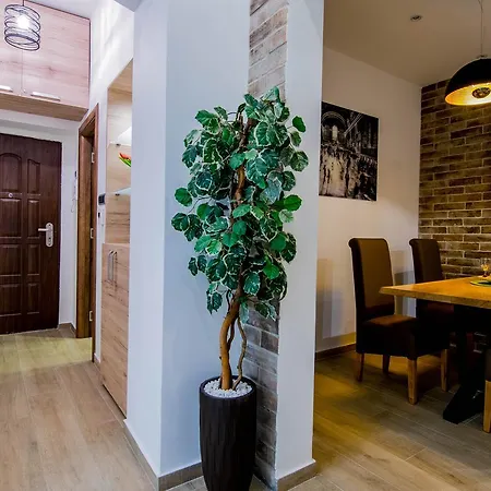 Cosmopolitan * Belgrado