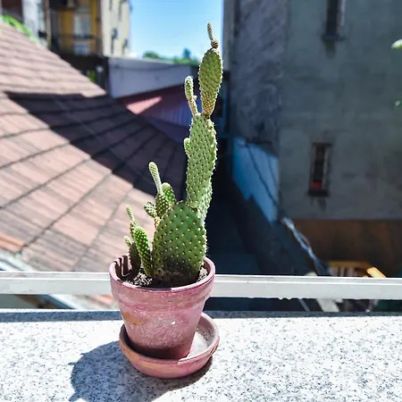 Cosmopolitan Apartamento *